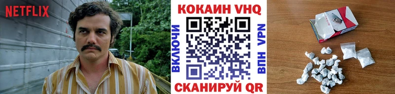 COCAIN Fish Scale Нижний Ломов