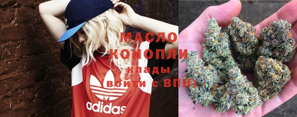 дживик Надым