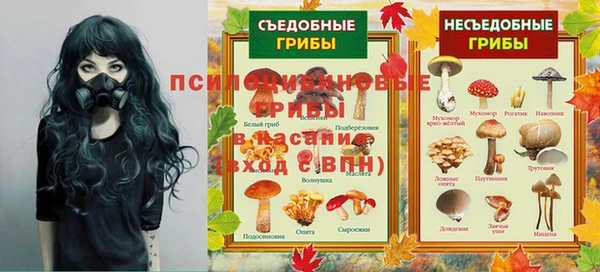 дживик Надым