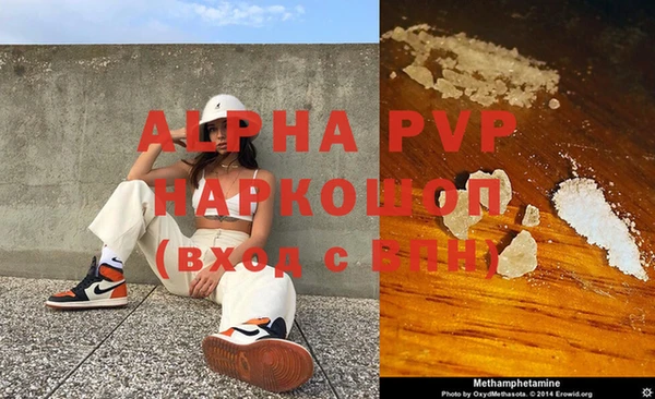 дживик Надым