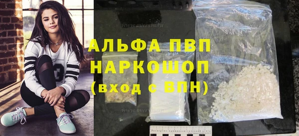 дживик Надым