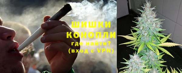 дживик Надым